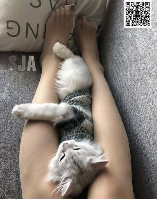 伦理2男一女3p黑人_BD国语手机在线看