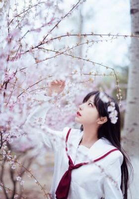 蜜桃红了在线观看_720免费全集观看